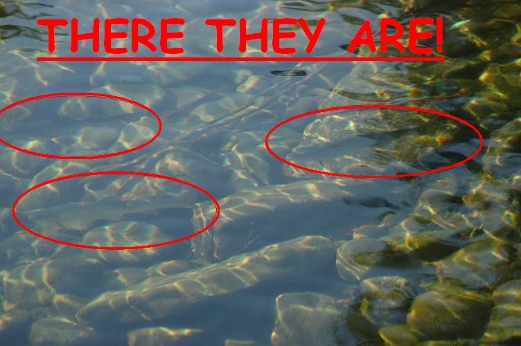 there