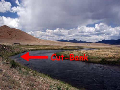 cut